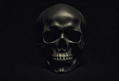 The primary subject of the image is a skull, which is the main object, scene, or focus of the image. The setting or background is a dark, black surface, which creates a dramatic and moody atmosphere. The visual style of the image is a black and white illustration, giving it a classic and timeless appearance. The skull is the primary subject, and its presence in the image evokes a sense of mystery and intrigue.