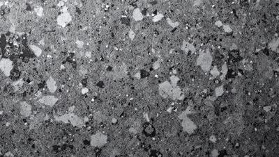The primary subject of the image is a close-up of a rocky surface with a pattern of black and white spots. The setting is a rocky environment, and the visual style appears to be a photo. The dominant colors are black and white, creating a contrasting and textured appearance. The overall atmosphere of the image is intriguing and captivating, as it showcases the unique patterns and textures of the rocky surface.