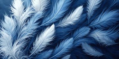 The primary subject of the image is a large group of white feathers, which are arranged in a visually appealing manner. The setting is a blue background, which complements the white feathers and adds a sense of depth to the image. The visual style is a combination of a photo and digital art, creating a unique and artistic representation of the feathers. The colors and mood of the image are predominantly white and blue, giving it a serene and calming atmosphere.