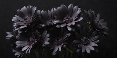 The primary subject of the image is a bouquet of black flowers. The setting is a dark background, which creates a dramatic and moody atmosphere. The visual style is a close-up of the flowers, showcasing their details and textures. The colors are predominantly black, with some variations in shades, giving the image a striking and elegant appearance.