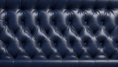The primary subject of the image is a blue leather couch with a patterned design. The setting is a room with a blue background, and the visual style is a photo. The dominant colors are blue and black, creating a calm and sophisticated atmosphere.