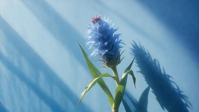 The primary subject of the image is a blue flower with a green stem, which is the main focus of the image. The setting is a blue wall, and the visual style appears to be a photo. The dominant colors in the image are blue and green, creating a calm and serene atmosphere.