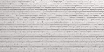 The primary subject of the image is a white brick wall. The setting is a brick wall, and the visual style is a photo. The dominant colors are white and grey, creating a clean and minimalist atmosphere.