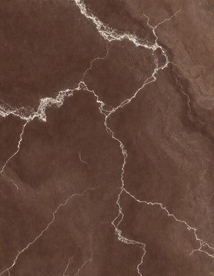 The primary subject of the image is a close-up of a brown marble surface with visible veins and patterns. The setting is a natural environment, possibly a stone wall or a countertop. The visual style is a close-up of the marble, showcasing its unique texture and patterns. The colors and mood of the image are earthy and natural, with the brown marble being the dominant color.