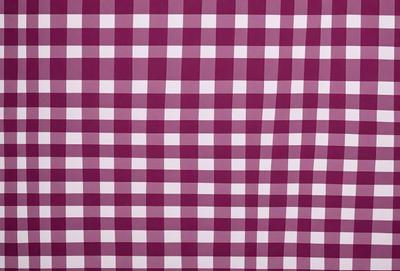 The primary subject of the image is a large, purple checkered pattern. The setting is a wall, and the visual style appears to be a pattern or a digital artwork. The dominant colors are purple and white, creating a bold and striking appearance.