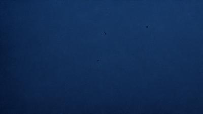 The primary subject of the image is the night sky, which is a dark blue color. The setting is a clear night with no clouds, and the visual style is a photo. The mood of the image is serene and peaceful, as the sky is void of any disturbances or light pollution.