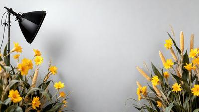 The primary subject of the image is a bouquet of yellow flowers, which are placed in front of a white wall. The setting is a simple, minimalistic environment, with the flowers being the main focus of the scene. The visual style of the image is a photo, capturing the beauty of the flowers in their natural environment. The colors and mood of the image are predominantly yellow, creating a warm and inviting atmosphere.