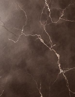 The primary subject of the image is a close-up of a leather surface, possibly a leather wall or a leather-like material. The setting is a room with a leather-like wall, and the visual style appears to be a close-up of the leather surface. The colors and mood of the image are predominantly brown, giving it a warm and natural atmosphere.