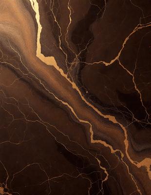 The primary subject of the image is a marble countertop with a gold-colored vein running through it. The setting is a kitchen, and the visual style is a close-up of the marble countertop. The colors and mood of the image are warm and elegant, with the gold vein adding a touch of luxury to the marble surface.