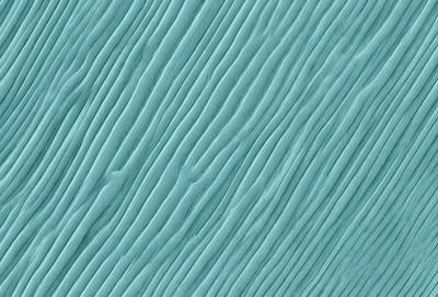 The primary subject of the image is a blue, textured surface. The setting is a close-up of the surface, which appears to be a textured wall or a piece of fabric. The visual style is a close-up of the blue surface, which gives a sense of depth and texture. The colors and mood of the image are predominantly blue, creating a calm and serene atmosphere.