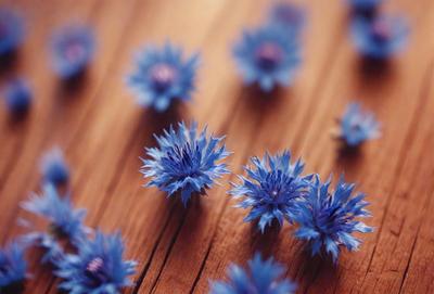 The primary subject of the image is a close-up of a blue flower, which is the main focus of the image. The setting is a wooden table, and the visual style appears to be a photo. The dominant colors in the image are blue and purple, creating a calm and serene atmosphere.