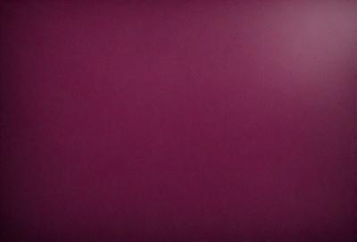 The primary subject of the image is a purple wall. The setting is a room with a purple wall, and the visual style is a close-up of the wall. The dominant colors are purple, and the overall atmosphere is calm and serene.