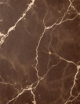 The primary subject of the image is a marble surface with a brown and white color scheme. The setting is a room with a brown and white marble wall, which adds a sense of elegance and sophistication to the space. The visual style of the image is a close-up of the marble wall, showcasing its intricate patterns and textures. The colors and mood of the image are warm and inviting, creating a comfortable and luxurious atmosphere.