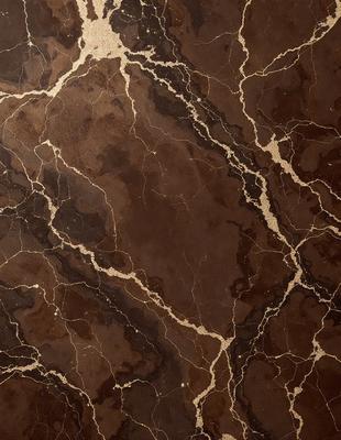 The primary subject of the image is a close-up of a marble countertop. The setting is a kitchen, with the countertop being the main focus of the scene. The visual style is a photo, capturing the natural texture and patterns of the marble. The colors and mood of the image are warm and inviting, with the marble countertop being the main source of color and texture.
