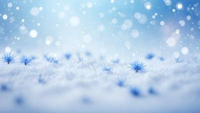 The primary subject of the image is a field of snow with blue flowers scattered throughout. The setting is a snowy landscape, and the visual style appears to be a photo. The dominant colors are blue and white, creating a serene and peaceful atmosphere.