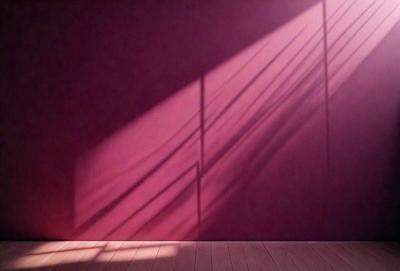 The primary subject of the image is a shadow cast on a wall. The setting is a room with a window, and the visual style appears to be a photo. The dominant colors in the image are red and pink, creating a warm and inviting atmosphere.
