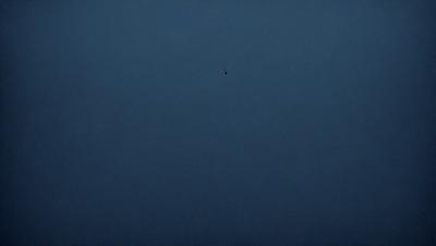 The primary subject of the image is a bird flying in the sky. The bird is positioned in the middle of the scene, with its wings spread out. The setting is a dark blue sky, which creates a dramatic and moody atmosphere. The visual style of the image is a photo, capturing the bird in its natural environment. The colors and mood of the image are predominantly dark and dramatic, with the bird being the only bright spot in the sky.