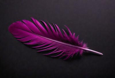 The primary subject of the image is a purple feather, which is the main object, scene, or focus of the image. The setting or background is a black surface, which provides a contrasting backdrop for the feather. The visual style of the image is a close-up of the feather, showcasing its details and texture. The colors and mood of the image are predominantly purple, giving it a unique and striking appearance.