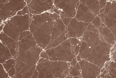 The image features a marbled surface with a brown and white color scheme. The marbled surface is the primary subject, and it appears to be a natural stone or a patterned material. The setting is indoors, possibly in a room with a brown color scheme. The visual style is a close-up of the marbled surface, showcasing its intricate patterns and textures. The colors and mood of the image are warm and earthy, creating a sense of natural beauty and elegance.