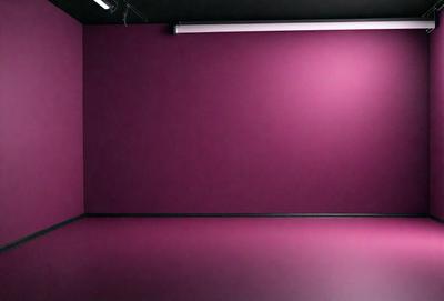 The primary subject of the image is a large, empty room with a purple wall. The setting is a room with a purple wall, and the visual style is a photo. The room appears to be a large, empty space with a purple wall, and the colors and mood suggest a calm and serene atmosphere.