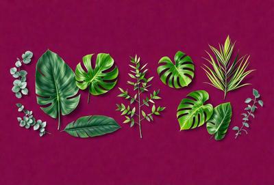 The image features a variety of green plants, including leaves and palm fronds, arranged in a row on a purple background. The plants are depicted in a digital art style, with a focus on their natural beauty and texture. The primary subject of the image is the diverse collection of greenery, while the setting is a purple surface that contrasts with the vibrant colors of the plants. The visual style is a combination of realistic and artistic elements, creating a captivating and visually appealing scene.