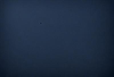 The primary subject of the image is a bird flying high in the sky. The bird is positioned towards the left side of the image. The setting is a dark, cloudy sky, which creates a moody atmosphere. The visual style appears to be a photo, capturing the bird in its natural environment.