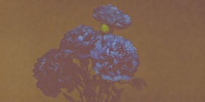 The primary subject of the image is a bouquet of blue flowers, which are the main focus of the scene. The flowers are placed in a vase, and they are surrounded by a brown background. The visual style of the image is a photo, capturing the beauty of the flowers in their natural setting. The dominant colors in the image are blue and brown, creating a calm and serene atmosphere.
