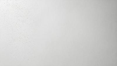 The primary subject of the image is a white wall with a pattern of specks or dots on it. The setting is a room with a white background, and the visual style appears to be a photo. The colors and mood of the image are predominantly white, giving it a clean and minimalist appearance.