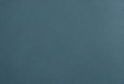 The primary subject of the image is a large, dark blue sky. The setting is a vast, open space with no visible landmarks or objects. The visual style is a natural, untouched landscape. The colors and mood are predominantly dark and moody, with the blue sky serving as the main focal point.