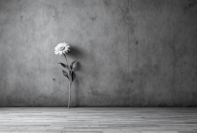 Primary subject: A single white flower in a vase.

Setting/background: A gray wall.

Visual style: A photo.

Colors and mood: The dominant colors are white and gray, creating a calm and minimalist atmosphere.