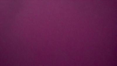 The primary subject of the image is a purple wall. The setting is a room with a purple wall, and the visual style is a close-up of the wall. The colors and mood of the image are predominantly purple, creating a calm and serene atmosphere.