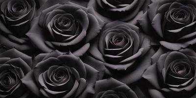 The primary subject of the image is a close-up of a black rose. The setting is a dark background, which emphasizes the rose's color. The visual style is a black and white photo, giving the image a classic and timeless appearance. The dominant colors are black and white, creating a moody and dramatic atmosphere.