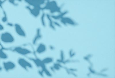 The primary subject of the image is a tree with leaves, which is the main object, scene, or focus of the image. The tree is surrounded by a blue background, which adds a sense of depth and contrast to the scene. The visual style of the image is a photo, capturing the natural beauty of the tree and its leaves. The colors and mood of the image are predominantly blue, creating a calm and serene atmosphere.