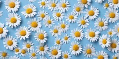 The primary subject of the image is a close-up of white flowers with yellow centers. The flowers are arranged in a pattern, covering the entire image. The setting is a blue background, which adds a contrasting color to the scene. The visual style is a combination of photo and digital art, creating a realistic yet artistic representation of the flowers. The dominant colors are white and yellow, giving the image a fresh and vibrant atmosphere.