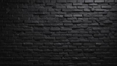 The primary subject of the image is a black brick wall. The setting is a dark room, and the visual style is a close-up of the brick wall. The colors and mood of the image are predominantly dark, with the black brick wall being the main focus.