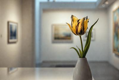 The primary subject of the image is a vase filled with a single yellow flower. The vase is placed on a table, and the setting appears to be a room with a white wall. The visual style of the image is a photo, and the dominant colors are yellow and white, creating a warm and inviting atmosphere.
