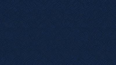 The primary subject of the image is a blue background with a pattern of interconnected circles. The setting is a dark blue background, and the visual style appears to be a digital art or illustration. The dominant colors are blue and black, creating a calm and serene atmosphere.