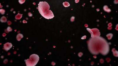 The primary subject of the image is a group of pink flowers floating in the air. The setting is a dark background, which creates a dramatic and moody atmosphere. The visual style is a combination of photo and digital art, as the flowers are captured in a close-up shot with a slightly blurred background. The colors and mood of the image are predominantly pink, which adds a sense of warmth and beauty to the scene.