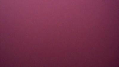 The primary subject of the image is a large, pink wall. The setting is a room with a pink background, and the visual style is a close-up of the wall. The dominant colors in the image are pink, and the overall atmosphere is warm and inviting.