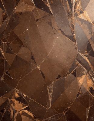 The primary subject of the image is a close-up of a marble tile with a brown and black color scheme. The setting is a wall with a patterned design, possibly a mosaic or a textured surface. The visual style appears to be a close-up of a textured surface, possibly a marble tile or a patterned wall. The colors and mood of the image are warm and earthy, with the brown and black tones creating a sense of depth and richness.