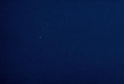 The primary subject of the image is the night sky, which is filled with stars. The setting is a dark, star-filled sky, and the visual style is a photo. The colors and mood of the image are predominantly dark and serene, with the stars providing a sense of depth and beauty.