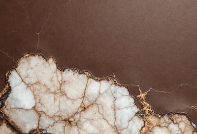 The primary subject of the image is a piece of leather, which is the main object, scene, or focus of the image. The leather is set against a brown background, giving it a natural and earthy appearance. The visual style of the image is a close-up of the leather, showcasing its texture and details. The colors in the image are predominantly brown, which gives the scene a warm and natural atmosphere.