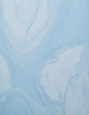 The primary subject of the image is a blue and white marbled wall. The setting is a room with a blue and white marbled wall as the main focus. The visual style is a close-up of the marbled wall, showcasing its intricate patterns. The colors and mood of the image are predominantly blue and white, creating a calm and serene atmosphere.