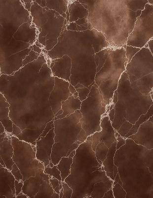 The primary subject of the image is a close-up of a marble wall with a brown and white pattern. The setting is a room with a brown and white marble wall as the main focus. The visual style is a close-up of the marble wall, showcasing its texture and pattern. The colors and mood of the image are predominantly brown and white, giving it a natural and elegant appearance.