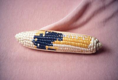 The primary subject of the image is a decorative corn cob, which is placed on a pink surface. The corn cob is painted with a blue and yellow design, giving it a unique and eye-catching appearance. The setting appears to be a casual, artistic display, possibly for decoration or as a creative piece of art. The visual style of the image is a combination of painting and digital art, as the corn cob is painted with a brush and then digitally manipulated to create the desired design