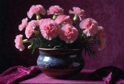 The primary subject of the image is a vase filled with pink flowers. The vase is placed on a table, and the flowers are arranged in a visually appealing manner. The setting appears to be indoors, with a purple background that complements the pink flowers. The visual style of the image is a close-up of the vase and flowers, showcasing the details of the arrangement. The colors and mood of the image are predominantly pink, creating a warm and inviting atmosphere.