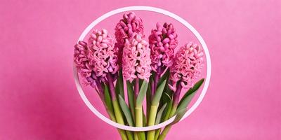 The primary subject of the image is a bouquet of pink and purple flowers. The flowers are arranged in a circular shape, creating a visually appealing display. The setting is a pink background, which adds a vibrant and warm atmosphere to the scene. The visual style of the image is a close-up of the flowers, showcasing their details and beauty. The colors and mood of the image are predominantly pink and purple, evoking a sense of love, warmth, and elegance