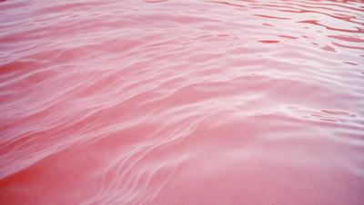 The primary subject of the image is a large body of pink water, which appears to be a mix of water and blood. The setting is a pink ocean, and the visual style is a close-up of the water. The dominant colors are pink and red, creating a moody and dramatic atmosphere.