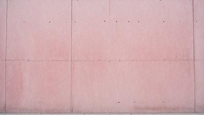The primary subject of the image is a pink wall. The setting is a room with a pink wall, and the visual style is a photo. The colors and mood of the image are predominantly pink, creating a warm and inviting atmosphere.