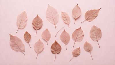 The primary subject of the image is a collection of dried leaves, which are displayed on a pink surface. The leaves are arranged in various positions, creating a visually appealing and artistic display. The setting appears to be a studio or a workspace, where the artist has created this unique arrangement of leaves. The visual style of the image is a combination of photo and digital art, as it captures the intricate details of the leaves while maintaining a creative and artistic touch. The colors and mood of the image